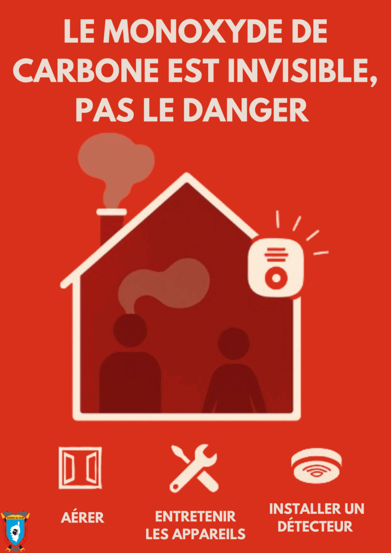 Affiche de prévention : Danger du monoxyde de carbone. Pictogramme de danger et texte informatif.